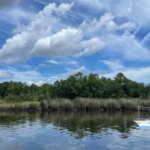 sam rayburn lake level