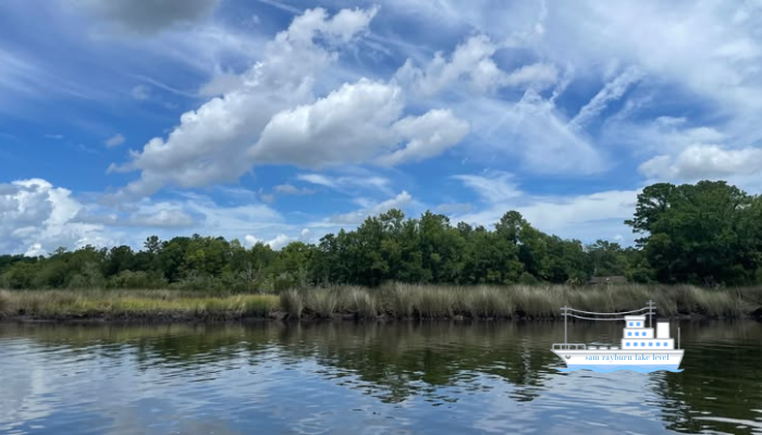 sam rayburn lake level